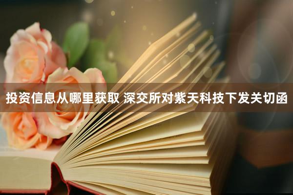 投资信息从哪里获取 深交所对紫天科技下发关切函