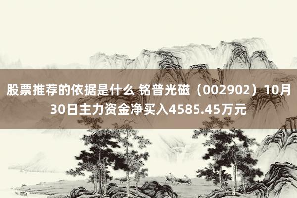 股票推荐的依据是什么 铭普光磁（002902）10月30日主力资金净买入4585.45万元