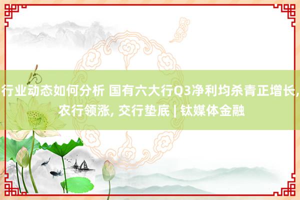 行业动态如何分析 国有六大行Q3净利均杀青正增长, 农行领涨, 交行垫底 | 钛媒体金融