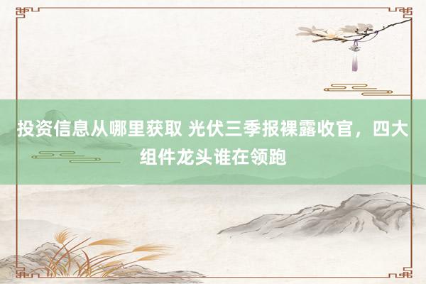 投资信息从哪里获取 光伏三季报裸露收官，四大组件龙头谁在领跑