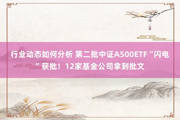 行业动态如何分析 第二批中证A500ETF“闪电”获批！12家基金公司拿到批文