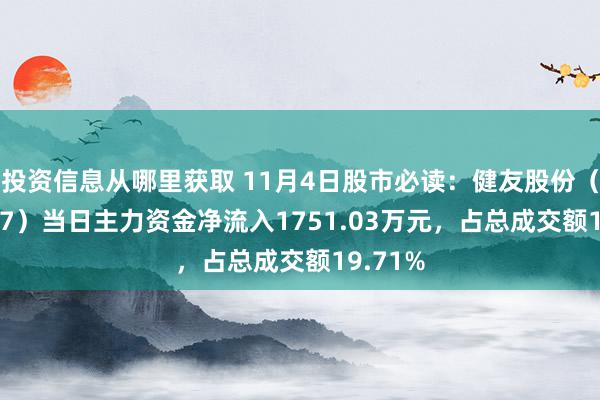 投资信息从哪里获取 11月4日股市必读：健友股份（603707）当日主力资金净流入1751.03万元，占总成交额19.71%