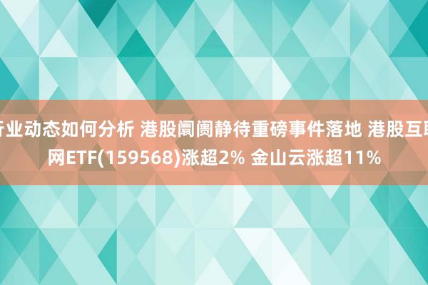 行业动态如何分析 港股阛阓静待重磅事件落地 港股互联网ETF(159568)涨超2% 金山云涨超11%