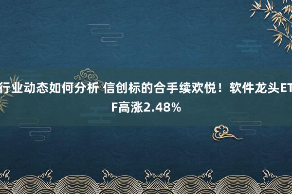 行业动态如何分析 信创标的合手续欢悦！软件龙头ETF高涨2.48%