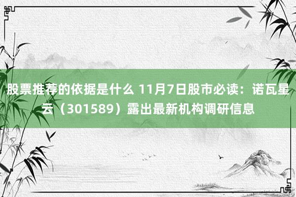 股票推荐的依据是什么 11月7日股市必读：诺瓦星云（301589）露出最新机构调研信息