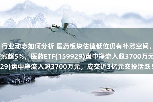 行业动态如何分析 医药板块估值低位仍有补涨空间，华大基因、联影医疗涨超5%，医药ETF(159929)盘中净流入超3700万元，成交近3亿元交投活跃！