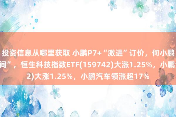 投资信息从哪里获取 小鹏P7+“激进”订价，何小鹏称“仍成心润空间”，恒生科技指数ETF(159742)大涨1.25%，小鹏汽车领涨超17%