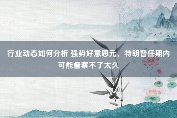 行业动态如何分析 强势好意思元，特朗普任期内可能督察不了太久