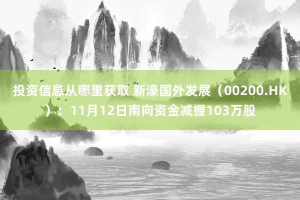 投资信息从哪里获取 新濠国外发展（00200.HK）：11月12日南向资金减握103万股