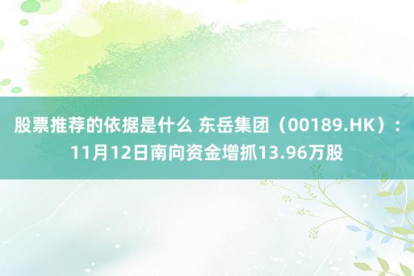 股票推荐的依据是什么 东岳集团（00189.HK）：11月12日南向资金增抓13.96万股