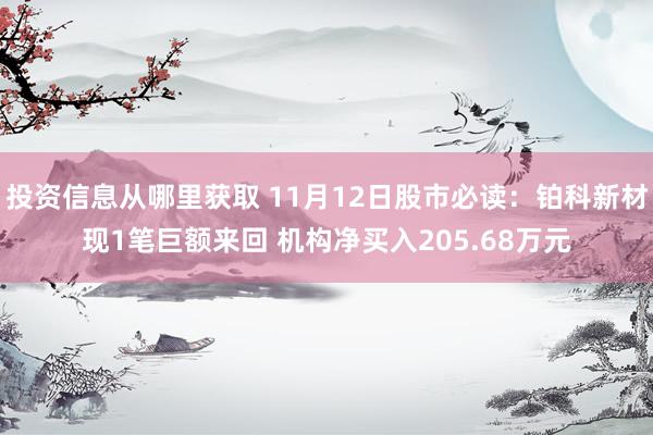 投资信息从哪里获取 11月12日股市必读：铂科新材现1笔巨额来回 机构净买入205.68万元