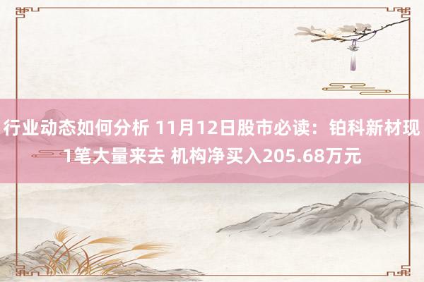 行业动态如何分析 11月12日股市必读：铂科新材现1笔大量来去 机构净买入205.68万元