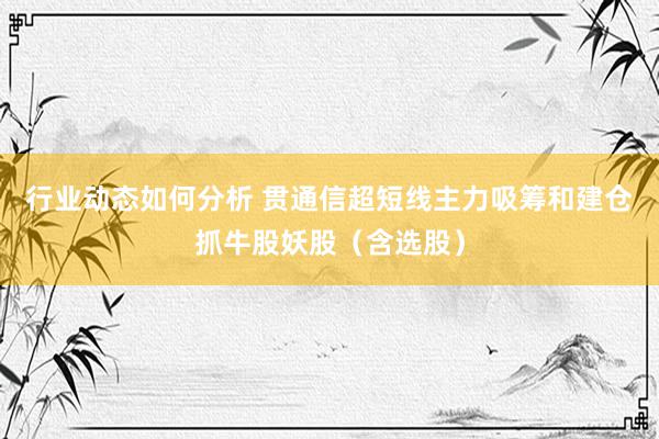 行业动态如何分析 贯通信超短线主力吸筹和建仓抓牛股妖股（含选股）