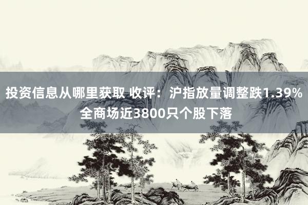 投资信息从哪里获取 收评：沪指放量调整跌1.39% 全商场近3800只个股下落