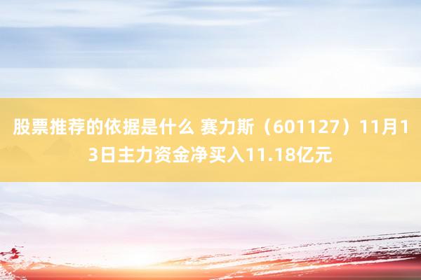 股票推荐的依据是什么 赛力斯（601127）11月13日主力资金净买入11.18亿元