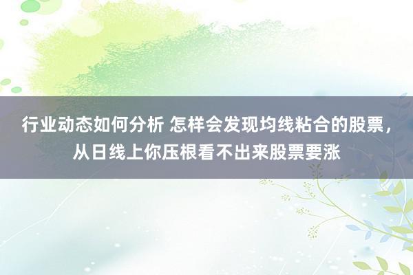 行业动态如何分析 怎样会发现均线粘合的股票，从日线上你压根看不出来股票要涨