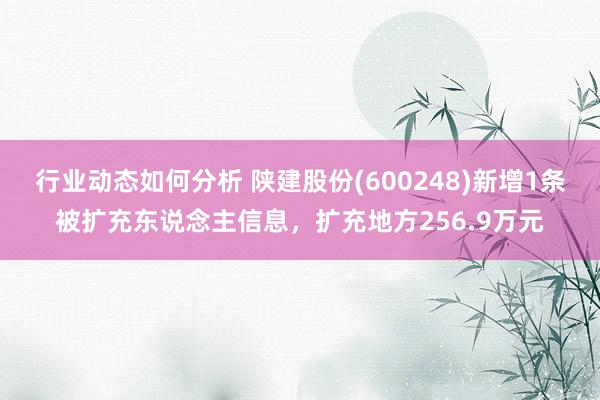 行业动态如何分析 陕建股份(600248)新增1条被扩充东说念主信息，扩充地方256.9万元