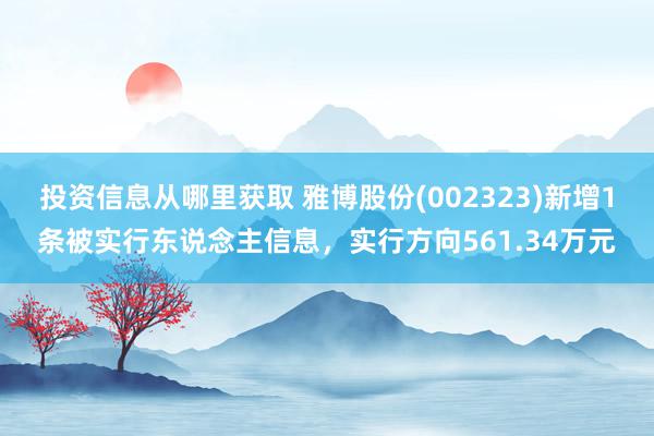 投资信息从哪里获取 雅博股份(002323)新增1条被实行东说念主信息，实行方向561.34万元