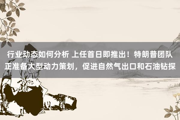 行业动态如何分析 上任首日即推出！特朗普团队正准备大型动力策划，促进自然气出口和石油钻探