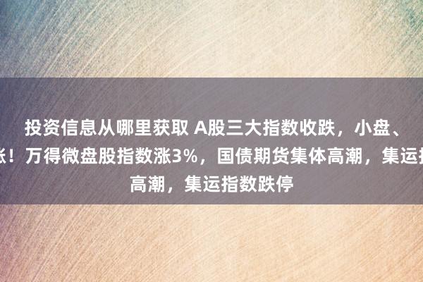 投资信息从哪里获取 A股三大指数收跌，小盘、红利领涨！万得微盘股指数涨3%，国债期货集体高潮，集运指数跌停