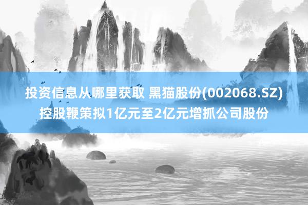 投资信息从哪里获取 黑猫股份(002068.SZ)控股鞭策拟1亿元至2亿元增抓公司股份