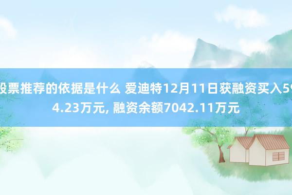 股票推荐的依据是什么 爱迪特12月11日获融资买入594.23万元, 融资余额7042.11万元