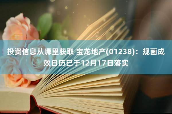 投资信息从哪里获取 宝龙地产(01238)：规画成效日历已于12月17日落实