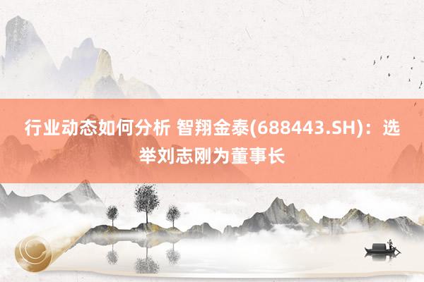 行业动态如何分析 智翔金泰(688443.SH)：选举刘志刚为董事长