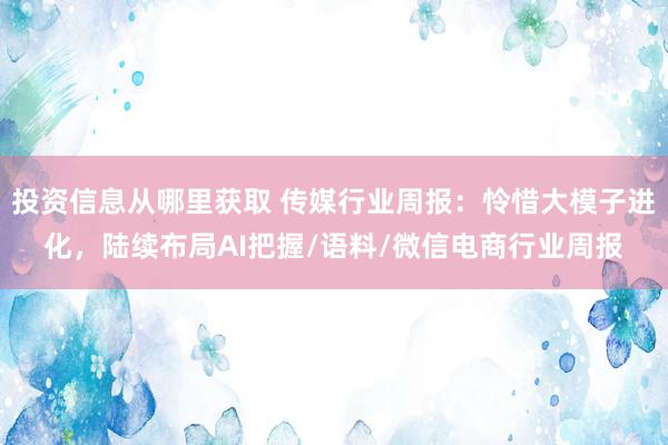 投资信息从哪里获取 传媒行业周报：怜惜大模子进化，陆续布局AI把握/语料/微信电商行业周报