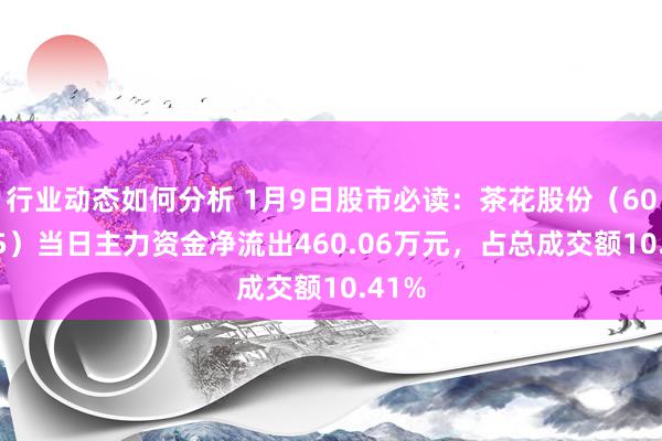 行业动态如何分析 1月9日股市必读：茶花股份（603615）当日主力资金净流出460.06万元，占总成交额10.41%