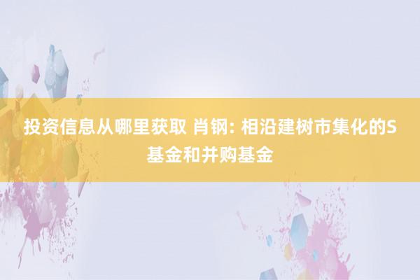 投资信息从哪里获取 肖钢: 相沿建树市集化的S基金和并购基金