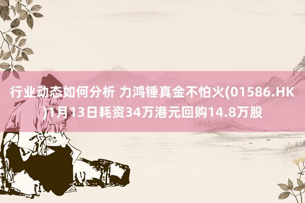 行业动态如何分析 力鸿锤真金不怕火(01586.HK)1月13日耗资34万港元回购14.8万股