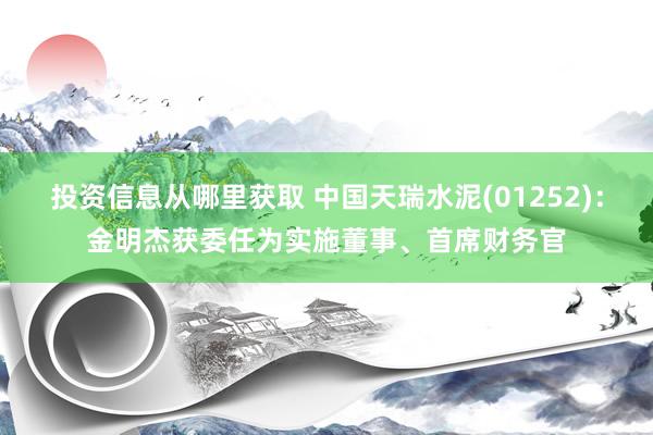 投资信息从哪里获取 中国天瑞水泥(01252)：金明杰获委任为实施董事、首席财务官