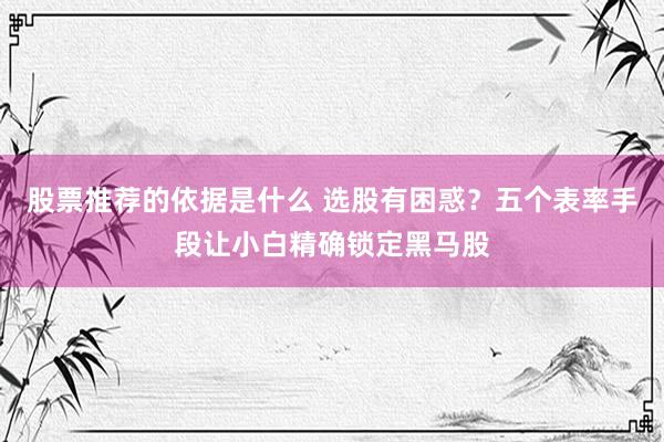 股票推荐的依据是什么 选股有困惑？五个表率手段让小白精确锁定黑马股