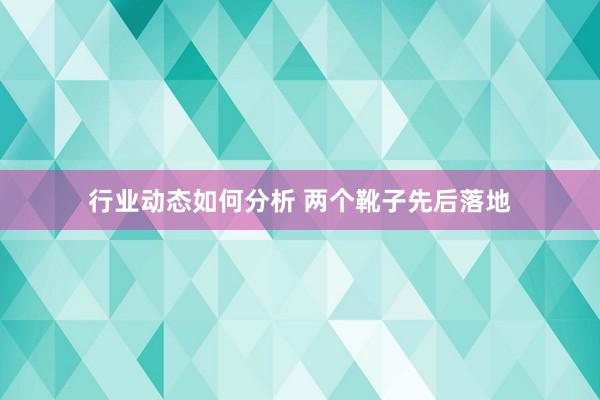 行业动态如何分析 两个靴子先后落地