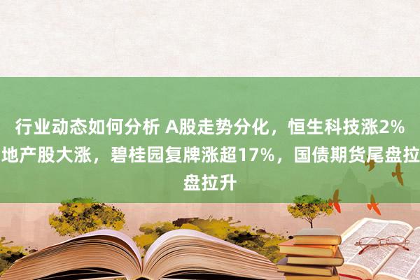 行业动态如何分析 A股走势分化，恒生科技涨2%，地产股大涨，碧桂园复牌涨超17%，国债期货尾盘拉升