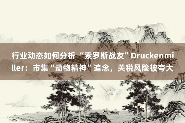 行业动态如何分析 “索罗斯战友”Druckenmiller：市集“动物精神”追念，关税风险被夸大