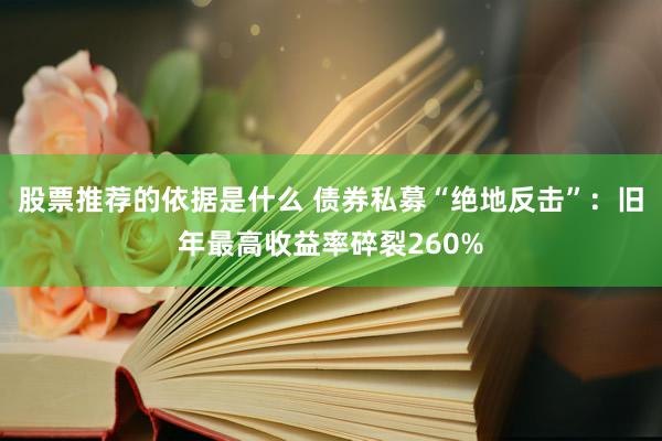 股票推荐的依据是什么 债券私募“绝地反击”：旧年最高收益率碎裂260%