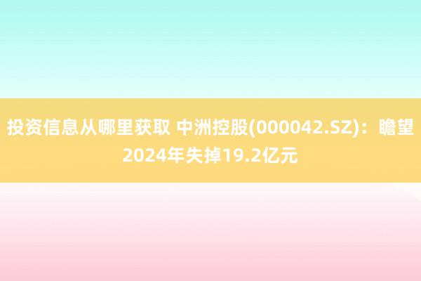 投资信息从哪里获取 中洲控股(000042.SZ)：瞻望2024年失掉19.2亿元