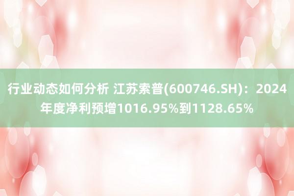 行业动态如何分析 江苏索普(600746.SH)：2024年度净利预增1016.95%到1128.65%