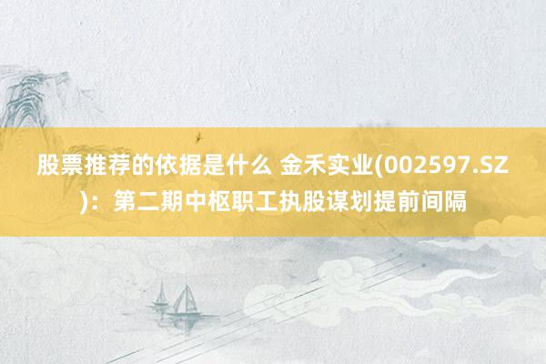 股票推荐的依据是什么 金禾实业(002597.SZ)：第二期中枢职工执股谋划提前间隔