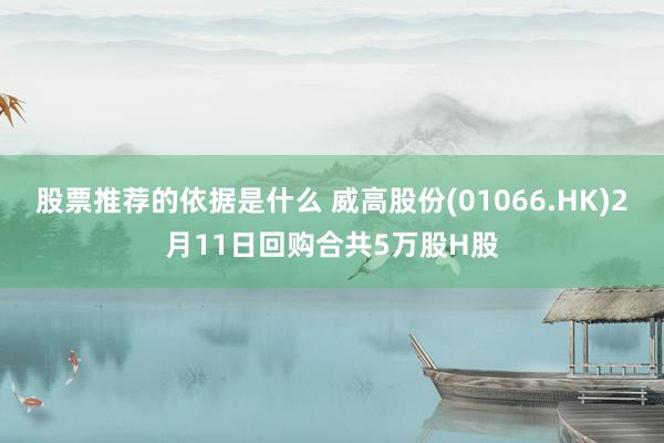 股票推荐的依据是什么 威高股份(01066.HK)2月11日回购合共5万股H股