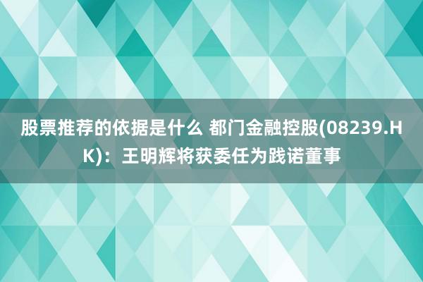 股票推荐的依据是什么 都门金融控股(08239.HK)：王明辉将获委任为践诺董事