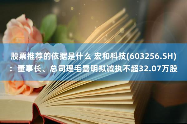 股票推荐的依据是什么 宏和科技(603256.SH)：董事长、总司理毛嘉明拟减执不超32.07万股