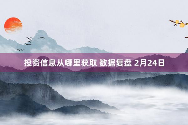 投资信息从哪里获取 数据复盘 2月24日