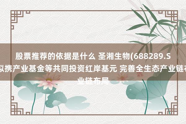 股票推荐的依据是什么 圣湘生物(688289.SH)拟携产业基金等共同投资红岸基元 完善全生态产业链布局