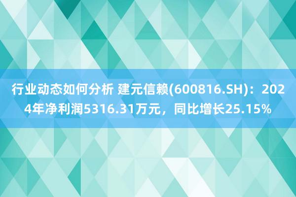 行业动态如何分析 建元信赖(600816.SH)：2024年净利润5316.31万元，同比增长25.15%