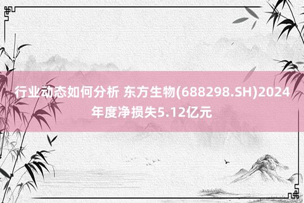 行业动态如何分析 东方生物(688298.SH)2024年度净损失5.12亿元