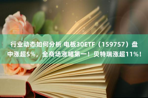 行业动态如何分析 电板30ETF（159757）盘中涨超5%，全商场涨幅第一！贝特瑞涨超11%！