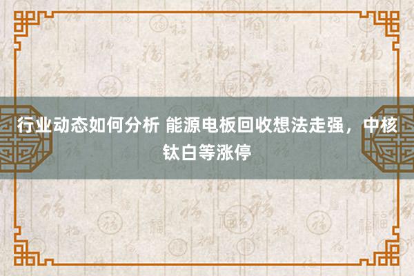 行业动态如何分析 能源电板回收想法走强，中核钛白等涨停